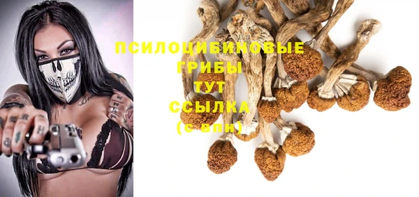 ALPHA PVP Арсеньев