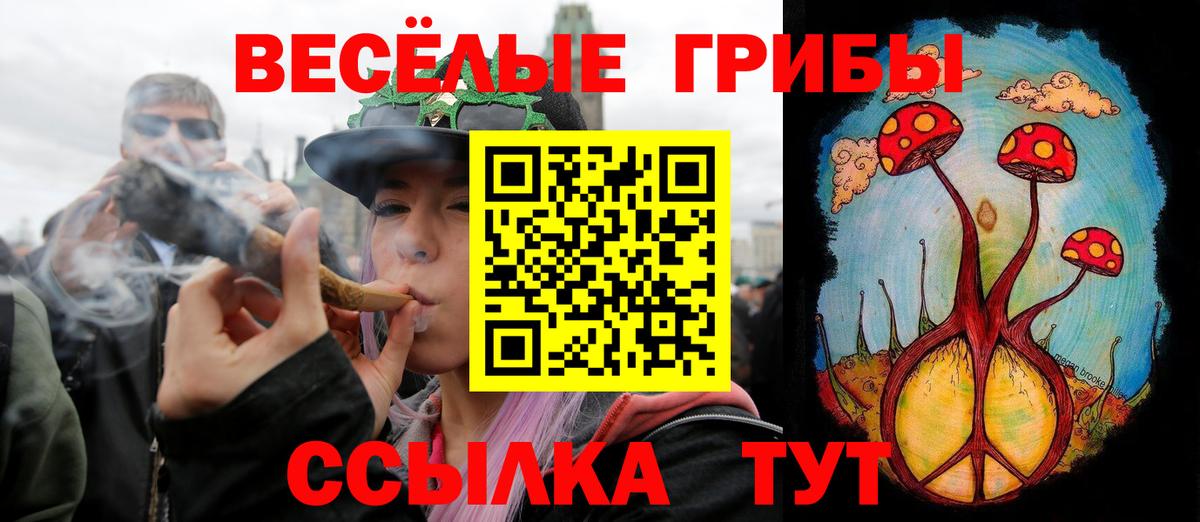 Аша  где можно купить наркотик  Псилоцибиновые грибы прущие грибы  Вход с VPN  Галлюциногенные грибы мухоморы 
