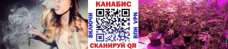 Каннабис ГИДРОПОН  Аша 